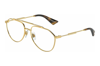 Dolce & Gabbana DG1353 02