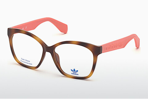 Eyewear Adidas Originals OR5017 053
