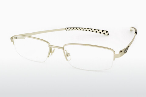 专门设计眼镜 Reebok R2017 SIL