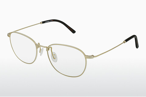 专门设计眼镜 Rodenstock R2617 B