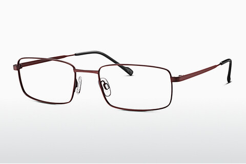 专门设计眼镜 TITANFLEX EBT 820849 50