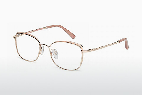 专门设计眼镜 Ted Baker 2264 225