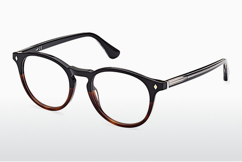 专门设计眼镜 Web Eyewear WE5387 056