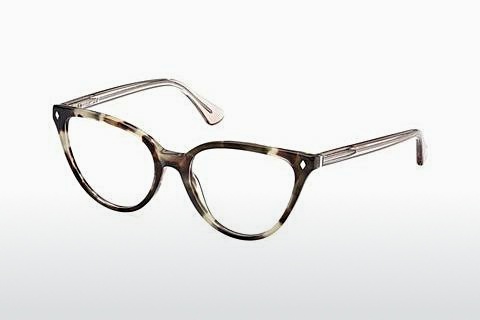 专门设计眼镜 Web Eyewear WE5388 056