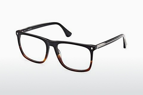 专门设计眼镜 Web Eyewear WE5389 056