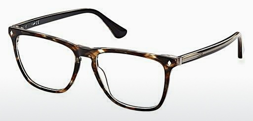 专门设计眼镜 Web Eyewear WE5390 050