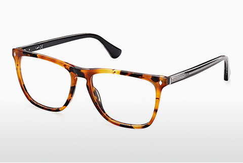 专门设计眼镜 Web Eyewear WE5390 056