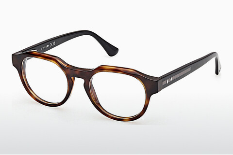 专门设计眼镜 Web Eyewear WE5421 055