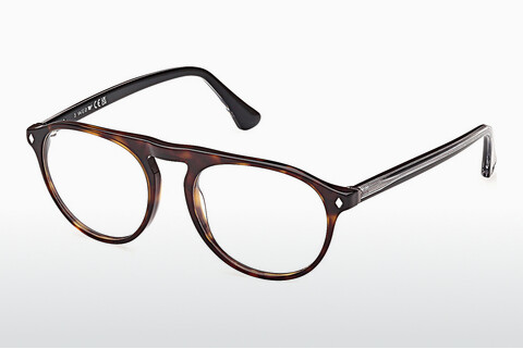 专门设计眼镜 Web Eyewear WE5429 055