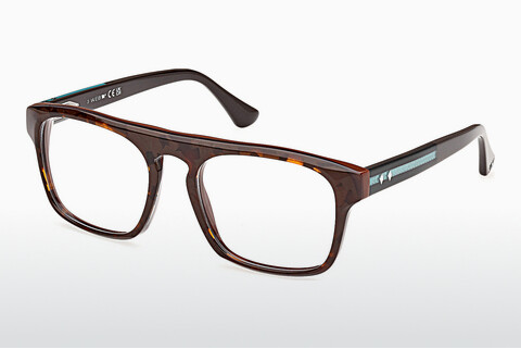 专门设计眼镜 Web Eyewear WE5434 052