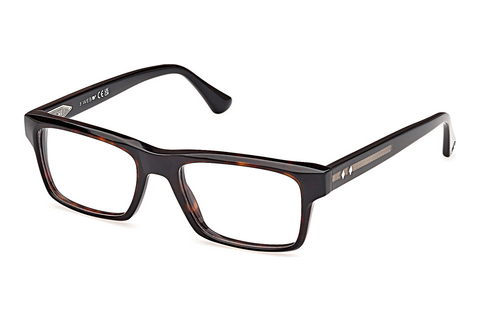 专门设计眼镜 Web Eyewear WE5432 056