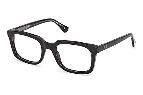 专门设计眼镜 Web Eyewear WE5445 056