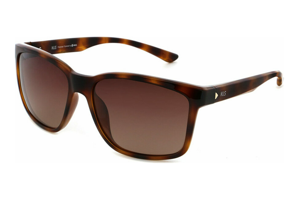 HIS Eyewear   HPS38112 3 brown gradientdemi