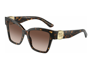 Dolce & Gabbana DG4470 502/13