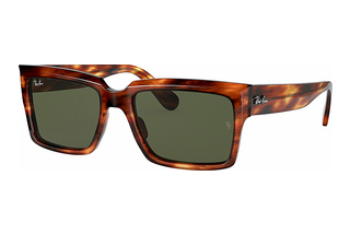 Ray-Ban RB2191 954/31