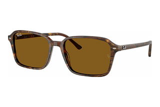 Ray-Ban RB2231 141833