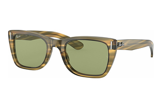 Ray-Ban RB2248 13134E