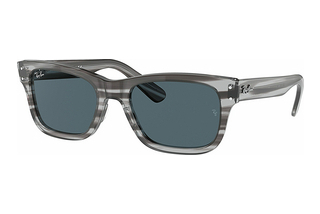 Ray-Ban RB2283 1314R5