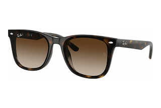 Ray-Ban RB4420 710/13