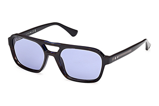 Web Eyewear WE0376 56V blauHavanna/Einfarbig