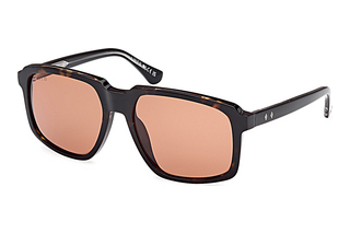 Web Eyewear WE0378 56J braunHavanna/Einfarbig