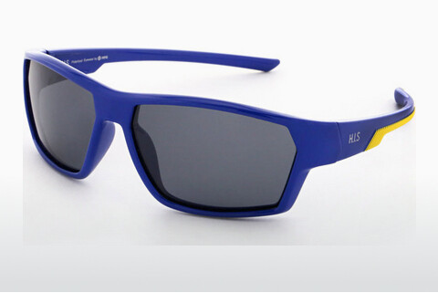 太阳镜 HIS Eyewear HPS30100 3