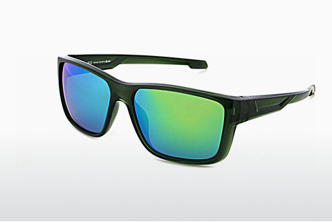 太阳镜 HIS Eyewear HPS37103 3