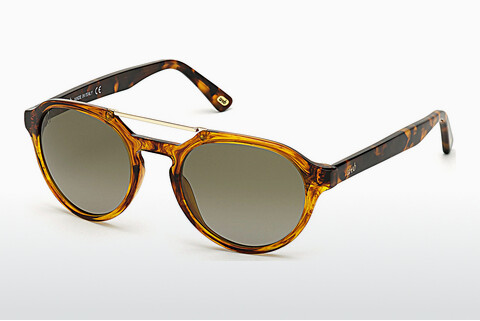 Ophthalmic Glasses Web Eyewear WE0278 56R