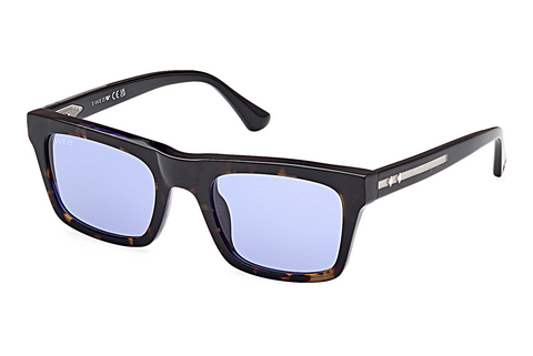 太阳镜 Web Eyewear WE0362 56V