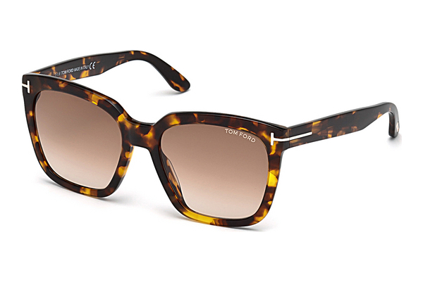 太阳镜 Tom Ford Amarra (FT0502 52F)