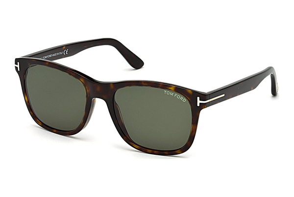 太阳镜 Tom Ford Eric-02 (FT0595 52N)